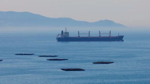 Scenic View Of Bulk Cargo Sailing Across The Foggy Seascape Video stock 277746055