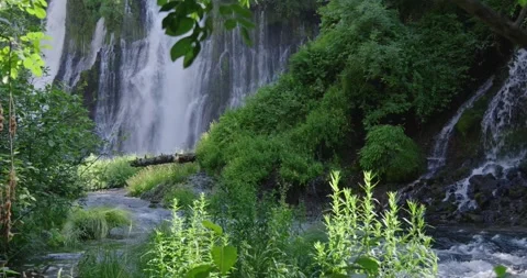 Scenic view of Burney Falls through lush green foliage Vídeo Stock 334894029
