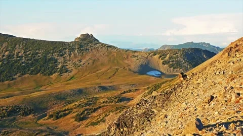 Scenic View of Burroughs Mountain Trail and Alpine Landscape in Mount Rainier Na Video stock 332089433
