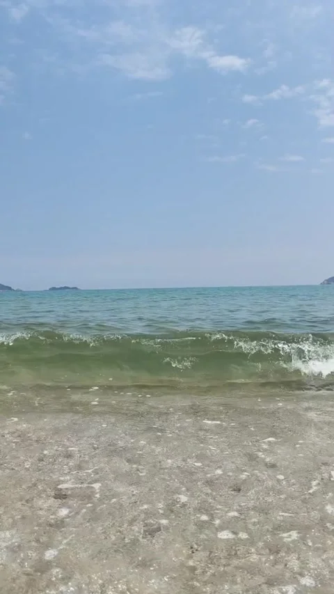Scenic view of calm ocean waves gently lapping onto a sandy beach under a clear Vidéo 334164046