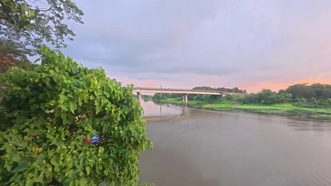 Scenic view of a calm river with lush green trees and bridge at dusk Stock Footage 342158832