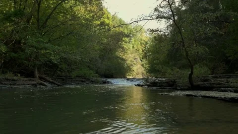 Scenic view of calm river surrounded by lush forest, leading to cascading Vidéo 295168981