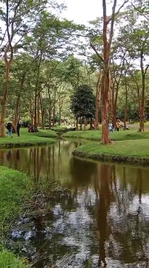 Scenic view of a calm stream and lake landscape Stock Footage 345858764
