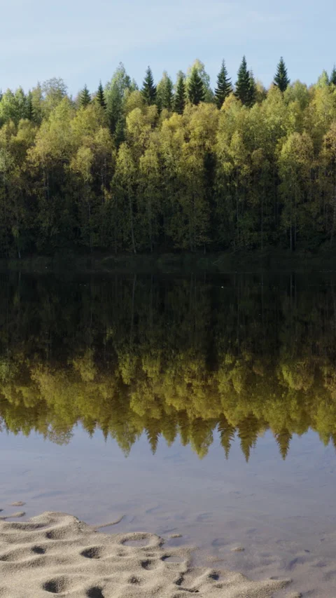 Scenic view of the calm Vindel River in Swedish Lapland with a vibrant autu.. Stock Footage 323969791