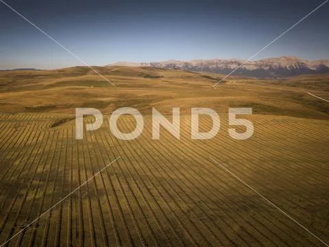 Scenic view of Canadian prairies against clear sky Stock Photos