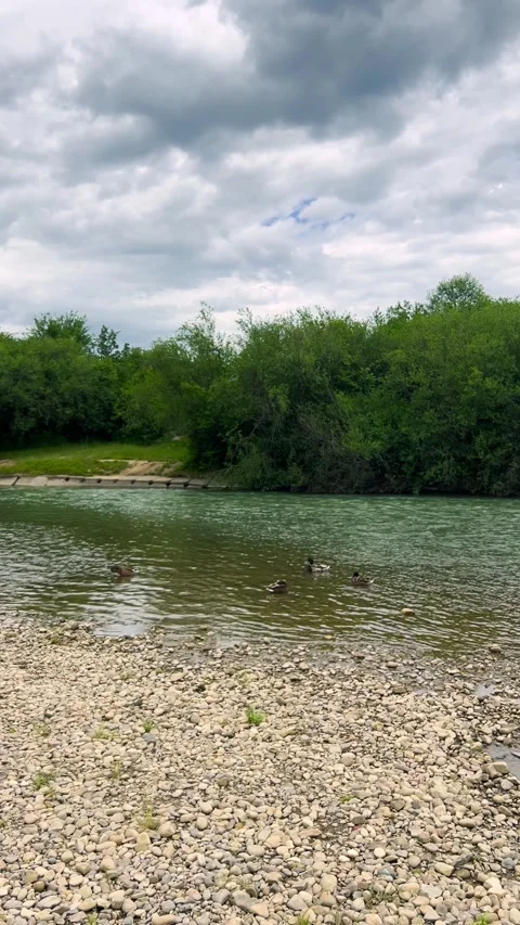 A scenic view captures a clear turquoise river flowing past a rocky shore.  Vídeo Stock 339090581