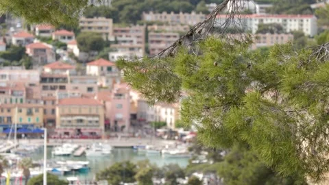 Scenic View of Cassis Harbor Through Pine Tree Branches Stock Footage 340373495