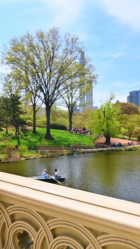 Scenic view of Central Park in spring. Central Park showcases blooming greenery Stock Footage 316558001