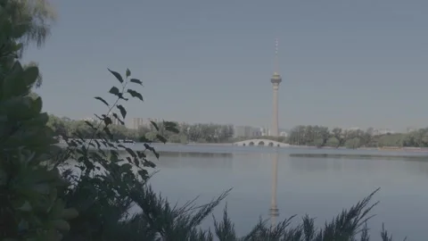 Scenic View of Central TV Tower Across Peaceful Lake Framed by Trees Stock Footage 345470955