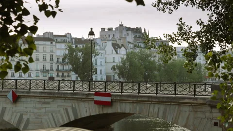 Scenic view of a classic stone arch bridge crossing the Seine River in Paris, fr Stock Footage 338007293
