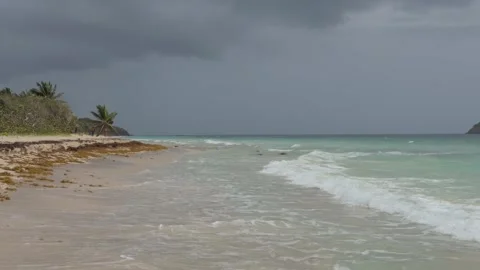 A scenic view of clear turquoise ocean water and white foam waves rolling onto Stock Footage 341562081
