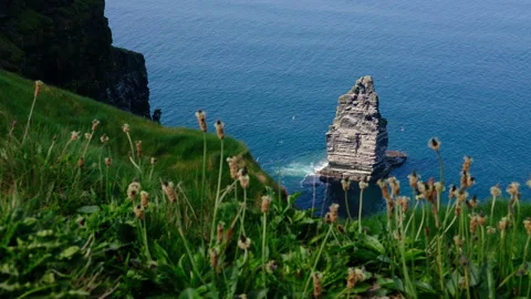 Scenic view of Cliffs of Moher, Ireland, dramatic sea stack rock rising Ocean Stock Footage 339010764