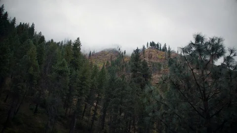 Scenic View of Clouds Moving Across the Mountaintop After a Rainstorm Stock Footage 90870129