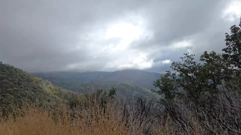 Scenic view of cloudy mountains with trees in a natural landscape setting d.. Stock Footage 296498419