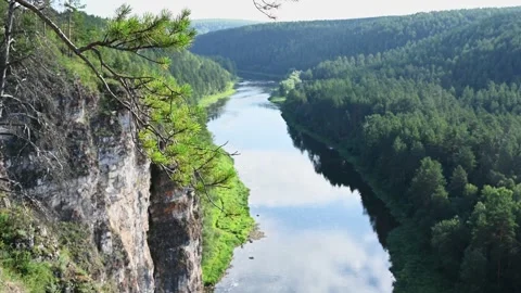 Scenic view of coniferous tree branch against river on background Vídeo Stock 244580323