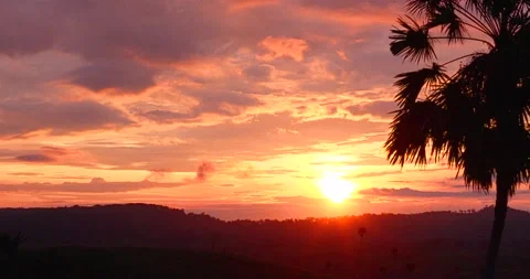 Scenic view dramatic beautiful sunset sky. Natural Sunset Sunrise on meadow silh Vidéo 205807873