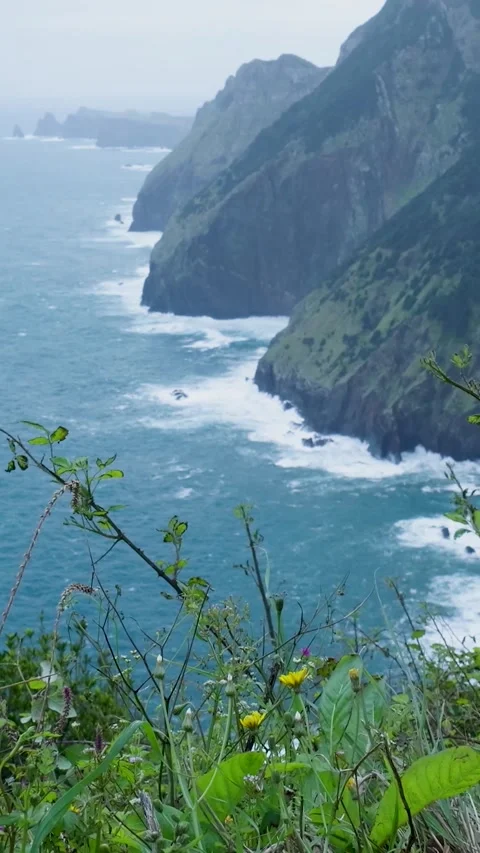 Scenic view of a dramatic green coastline with rough sea Video stock 334441706