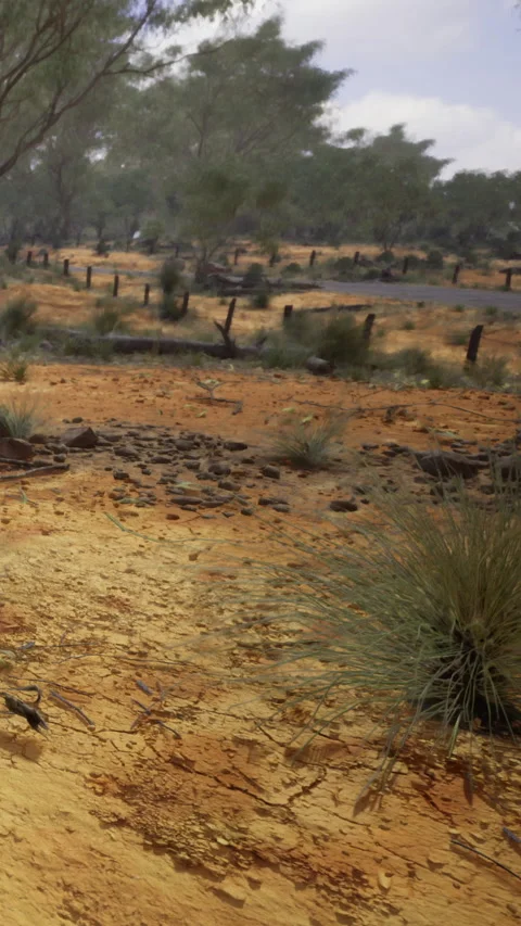 Scenic view of a dry landscape with sparse vegetation and rocky ground Stock Footage 333568076