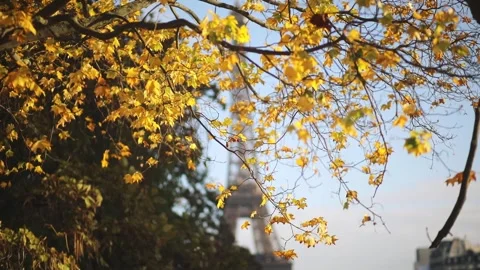 Scenic view to the Eiffel tower over the river Seine Stock Footage 317078755