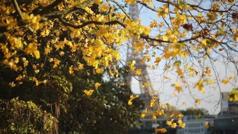 Scenic view to the Eiffel tower over the river Seine Stock Footage 317078761