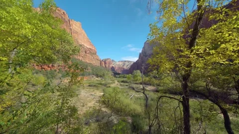 Scenic View of Emerald Pools Trail and Zion Canyon in Autumn, Zion National Park Stock Footage 331999657