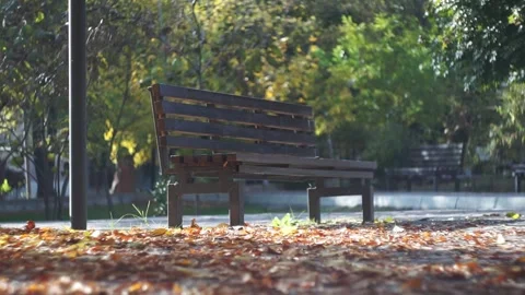 Scenic view of an empty park bench in the park with golden leaves Stock Footage 320267502