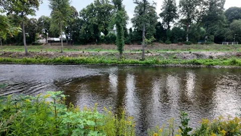 Scenic view of the Ems River with gentle ripples, yellow wildflowers in the.. Stockbeeldmateriaal 346297999