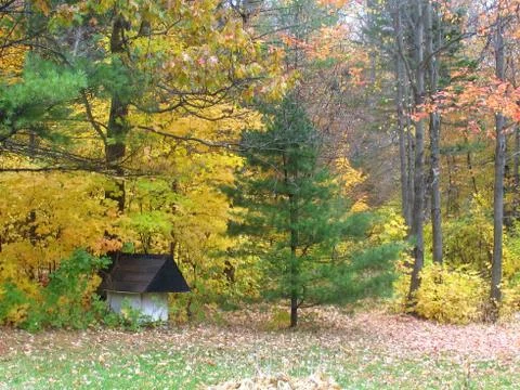 Scenic view of fall trees and dog house Stock Photos