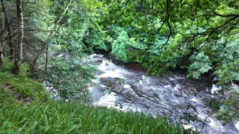 Scenic View of Falls of Clyde Waterfall in Scotland Woodland Walk New Lanark Stock Footage 313753844