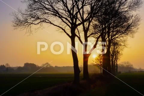 Scenic view of farm landscape at sunrise Stock Photos