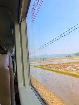 Scenic view of flooded rice fields through a train window Fotos de archivo