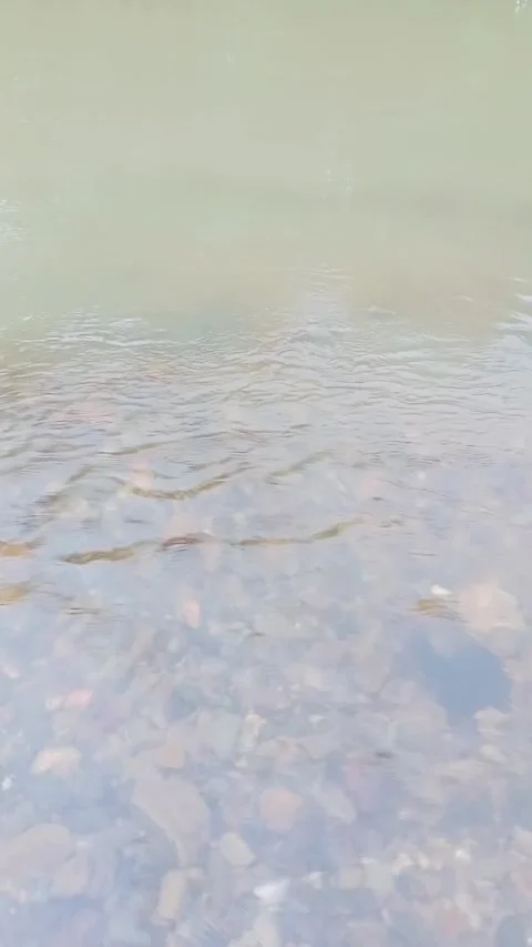 Scenic view of a flowing river in nature Stock Footage 346745976