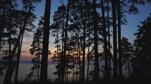 Scenic view of flowing river in sunset Stock Footage 68008533