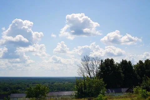 Scenic View of Fluffy Clouds Over Lush Green Forest Fotos de archivo