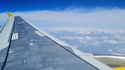 Scenic view from a flying airplane. Stock Footage 300891943