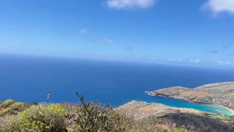 Scenic View Stock Footage 305808433