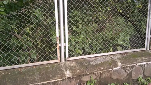 Scenic view of footpath Stock Footage 138499470