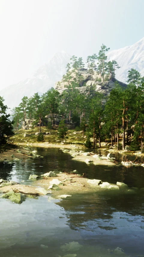 Scenic view of forest and river with mountains in the background during daytime Stock Footage 339411585