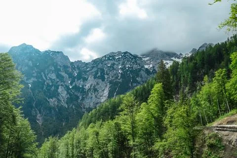 Scenic view from a forest on the cloud covered summit Jezerska Kocna in Kam.. Stock Photos