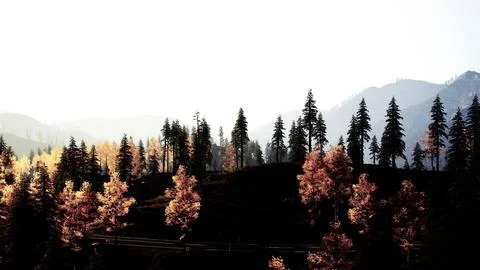 A scenic view of a forest with mountains in the background Stock Illustration