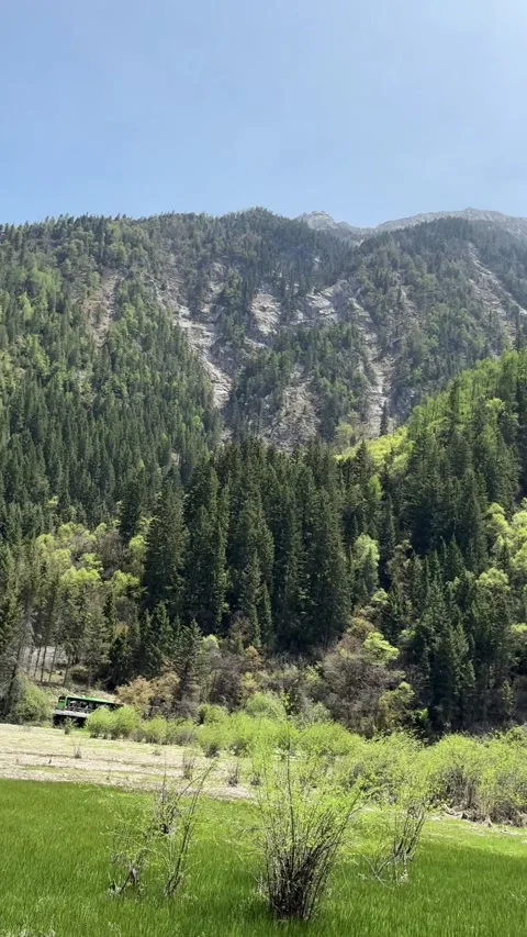 Scenic View of Forested Mountain and Verdant Valley in Jiuzhaigou Valley, Stock Footage 336878915