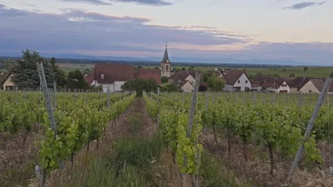 Scenic view of grape vines overlooking French village Stock Footage 342339997
