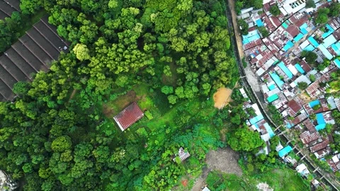 A scenic view of a green forest adjacent to a densely packed area of tin-set hou Video stock 287765277