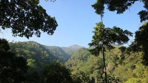 Scenic view of green mountain range surrounded by lush forest trees Stock Photos