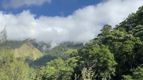 Scenic view of green mountains and clouds under blue sky. Stock Footage 340474835