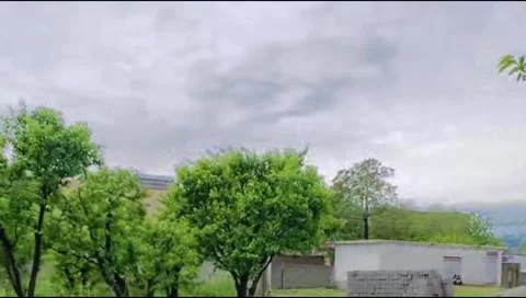 Scenic view of green trees in a rural garden under cloudy sky Stock Footage 345823806