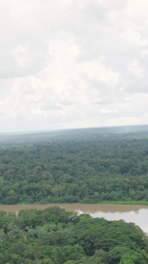 Scenic View of Guaviare River Surrounded by Lush Green Forests Video stock 336520873
