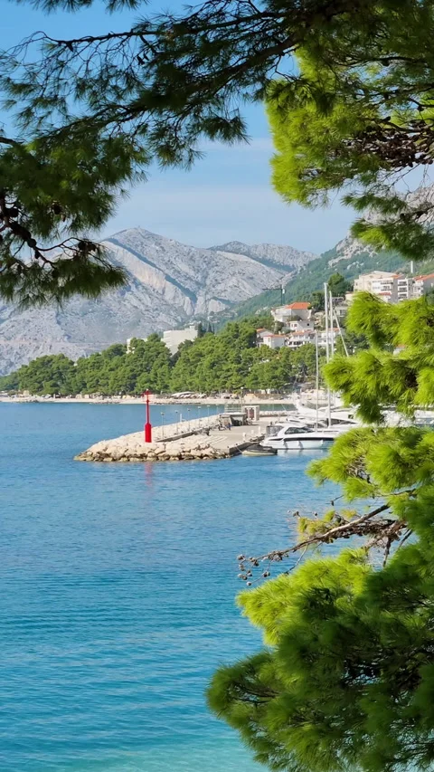 Scenic view of harbor with red lighthouse and mountains framed by pine trees. Vídeos de archivo 335796668