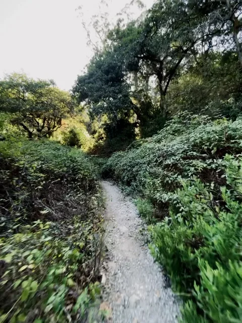 Scenic view inside Rmilat Forest in Tangier Stock Footage 325767691
