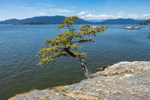 Scenic view from Juniper Point located in Lighthouse Park, West Vancouver Stock Photos